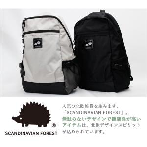 選べる特典付 スカンジナビアンフォレスト アク...の詳細画像1
