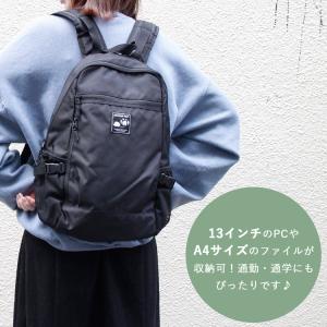 選べる特典付 スカンジナビアンフォレスト アク...の詳細画像3