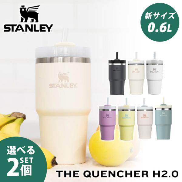 選べる2個セット STANLEY H2.0 真空スリムクエンチャー 0.6L