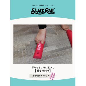お得な2本パック!ジリリタ スラックレールコン...の詳細画像1