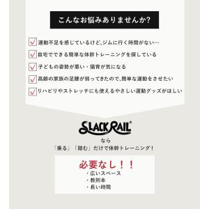 お得な2本パック!ジリリタ スラックレールコン...の詳細画像5