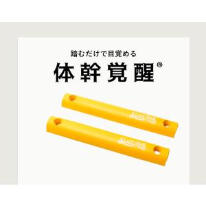 お得な2本パック!ジリリタ スラックレールコン...の詳細画像4