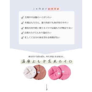 温座 よもぎ蒸しカイロ+専用カバーセット 電子...の詳細画像4