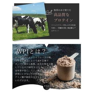 BEYOND WPIプロテイン ビヨンドプロテ...の詳細画像5