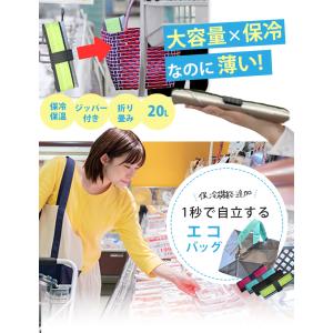 W特典付 ORIBA Cooler 保冷エコバ...の詳細画像2