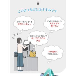 W特典付 ORIBA Cooler 保冷エコバ...の詳細画像5