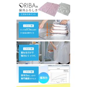 選べる特典付 ORIBA 保冷ふろしき 55c...の詳細画像3