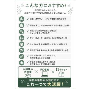 スカンジナビアンフォレスト スタンビッグデイパ...の詳細画像2