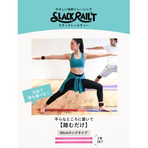 選べる特典付 2本セット スラックレール ティ...の詳細画像1