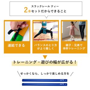 選べる特典付 2本セット スラックレール ティ...の詳細画像2