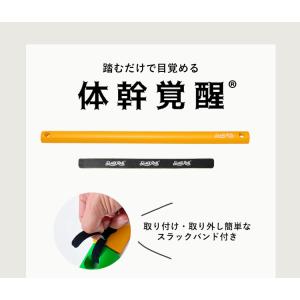 選べる特典付 2本セット スラックレール ティ...の詳細画像5