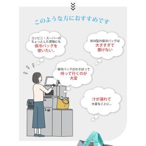当店限定★最強防臭袋付 オリバ 保冷エコバッグ...の詳細画像5