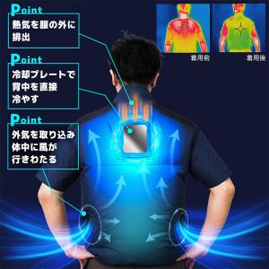 特典付 2026 サンコー 圧倒的に冷える冷蔵...の詳細画像3