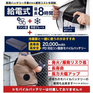 特典付 2026 サンコー 圧倒的に冷える冷蔵...の詳細画像5