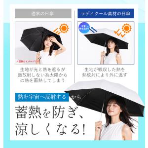 ラディクール 遮光耐風 ミニ55 Radi-C...の詳細画像4