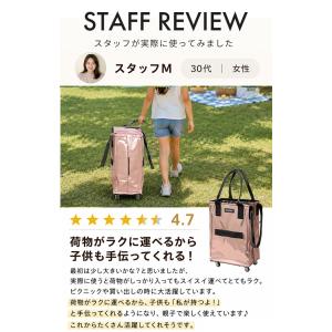 W特典付 HULKEN キャリーバッグ S M...の詳細画像5