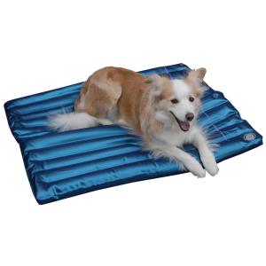 犬のウォーターベッド(２L)