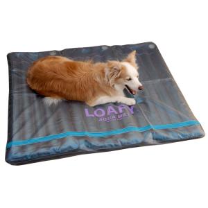 あいこな アイコナ aikona 犬用 サプリメント 3袋 腸活 愛犬 : これが