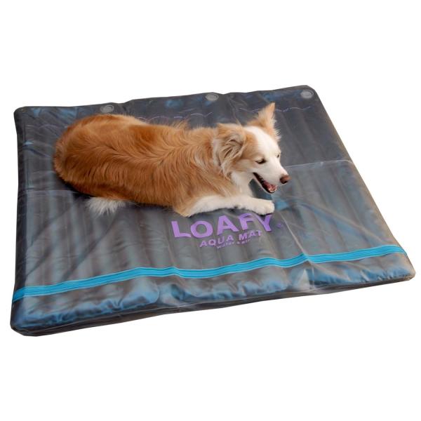 犬のウォーターベッド(３L)