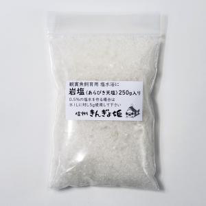 岩塩 あらびき天日原塩 量り売り 250g