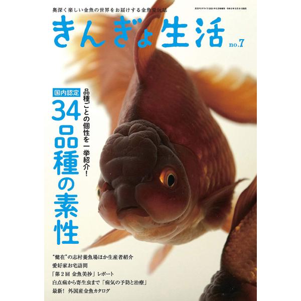 きんぎょ生活 No.7 奥深く楽しい金魚の世界 (年1回発売)