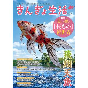 【2026年7月29日発売】きんぎょ生活 No.12 奥深く楽しい金魚の世界 (年1回発売) 月刊アクアライフ2026年8月号増刊
