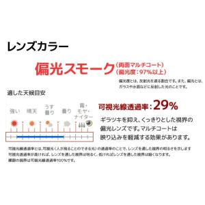 スワンズ スポーツサングラス LION SIN...の詳細画像1