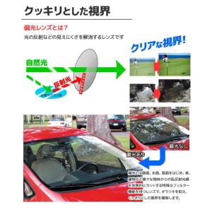 スワンズ スポーツサングラス LION SIN...の詳細画像2