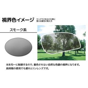 スワンズ スポーツサングラス LION SIN...の詳細画像3