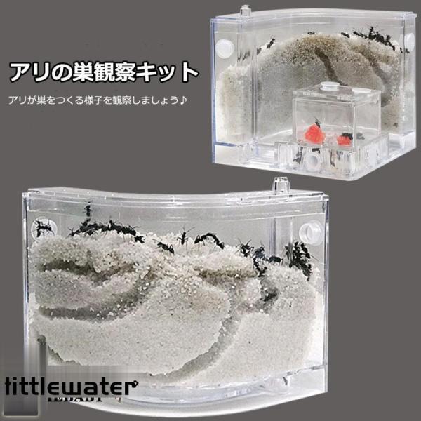 アリの巣　あり観察キット　飼育ケース　砂　自由研究 小学生 あり 蟻 飼育セット 実験セット 観察　...