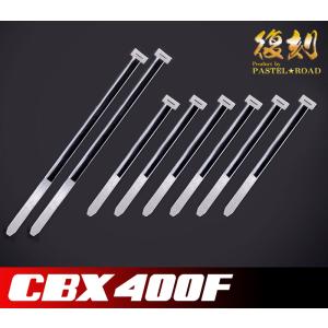 CBX400F スネークパーツ テールガード パステルロード 17016