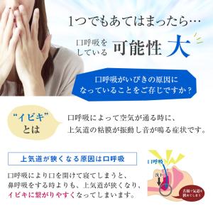 パタカラ プレミアム 【5営業日以内に発送】た...の詳細画像3