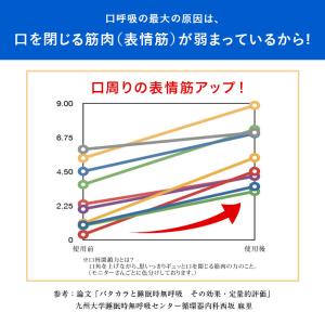 パタカラ プレミアム 【5営業日以内に発送】た...の詳細画像4