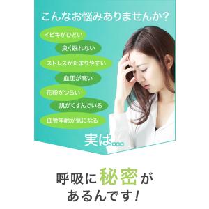 <新発売!>HANATAKA(ハナタカ)H(か...の詳細画像3