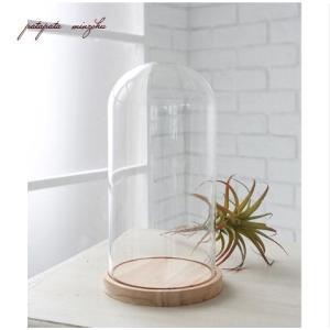 ガラスドーム トールドーム テラリウム 木製台付き 花瓶 花器 プリザーブドフラワー