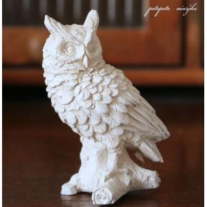 コキンメフクロウ グレー 6個入り ふくろう ミミズク 置物 マグネット