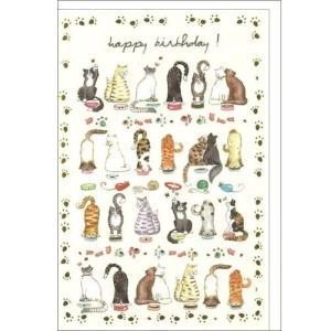 バースデーカード 猫まみれ ケイト・モーズリー 誕生日 グリーティングカード フランス 製 多目的 ポストカード 猫 ねこ ネコ