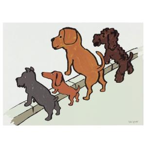 サヴィニャック 環境保護キャンペーン 1975年 4匹の犬 フランス 製 ポストカード グリーティン...