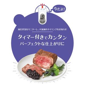 (送料無料)ティファール T-fal 圧力鍋 ...の詳細画像5
