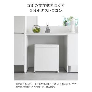 tower 山崎実業 蓋付き目隠し分別ダストワ...の詳細画像2