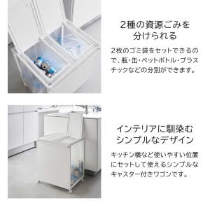 tower 山崎実業 蓋付き目隠し分別ダストワ...の詳細画像3