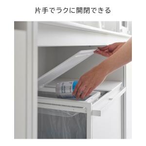 tower 山崎実業 蓋付き目隠し分別ダストワ...の詳細画像4