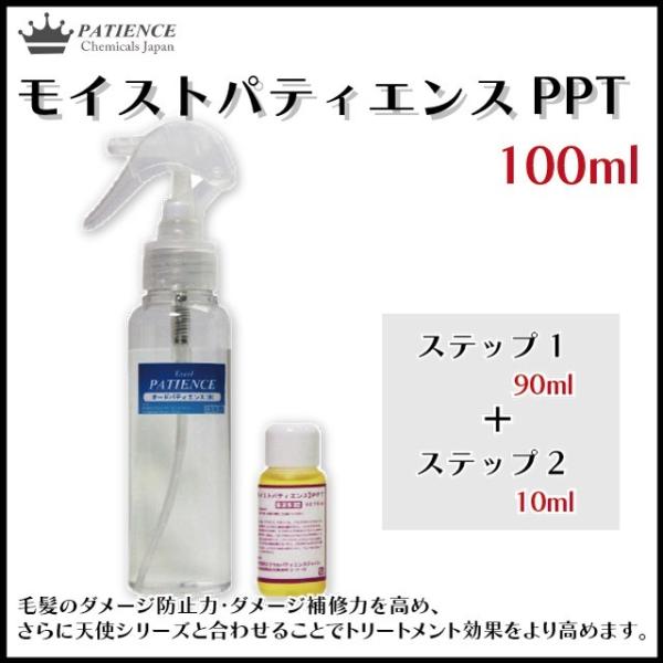 プロトリートメント モイストパティエンスPPT 100ml ヘアケア ダメージ補修 修復