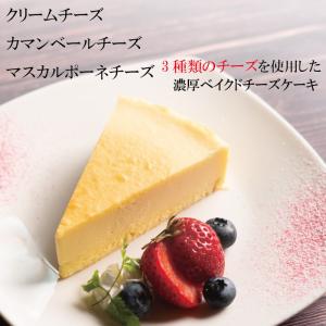 【送料無料】規格外チーズケーキ5個入り2箱セッ...の詳細画像2