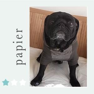 フレンチブルドッグ犬服型紙 ラグラントレーナー : Dog Peace ヤフー店