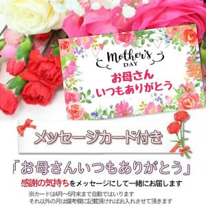 母の日 2026 ギフト カーネーション 80...の詳細画像2