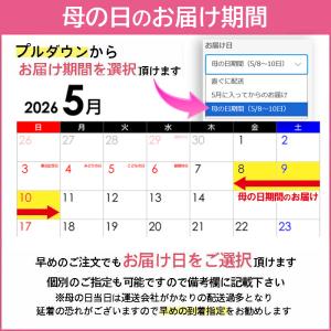 母の日 2026 ギフト カーネーション 80...の詳細画像1