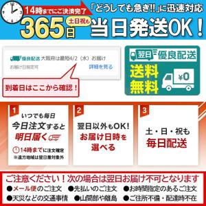 母の日 2026 猫 犬 クマ プレゼント 6...の詳細画像2