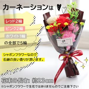 母の日カーネーション 2026 花 母の日ギフ...の詳細画像3