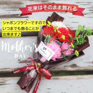 母の日カーネーション 2026 花 母の日ギフ...の詳細画像5